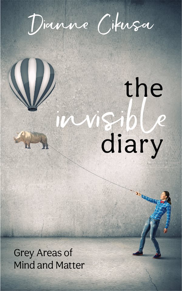 Cover: The Invisible Diary
